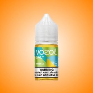 VOZOL - MINT ICE (Salt, Normal)